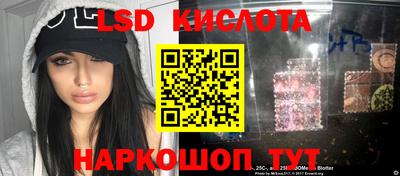 спиды Донской
