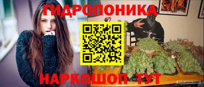 прущие крисы Дубна