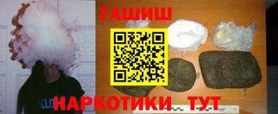 спиды Донской