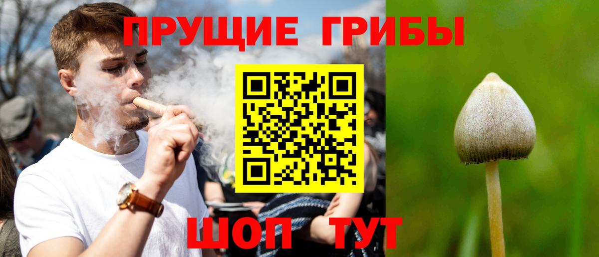 Псилоцибиновые грибы Psilocybe  Вход с VPN  Ликино-Дулёво 